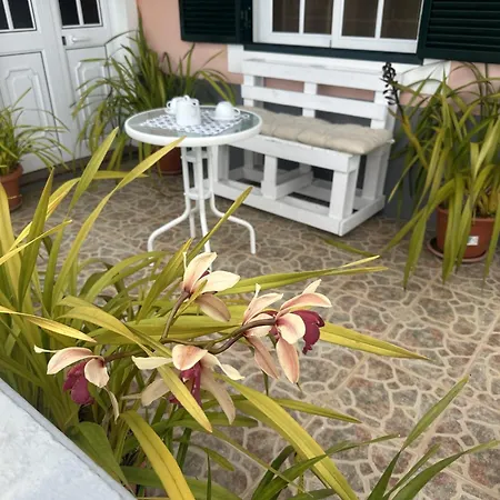 Casa Mary Bela's Ponta do Sol