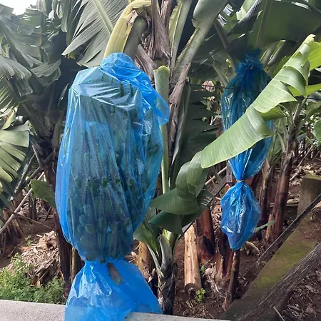 Casa Mary Bela's بيت للعطل