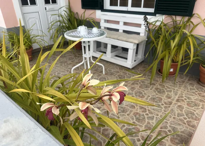 Casa Mary Bela's Ponta do Sol (Madeira)