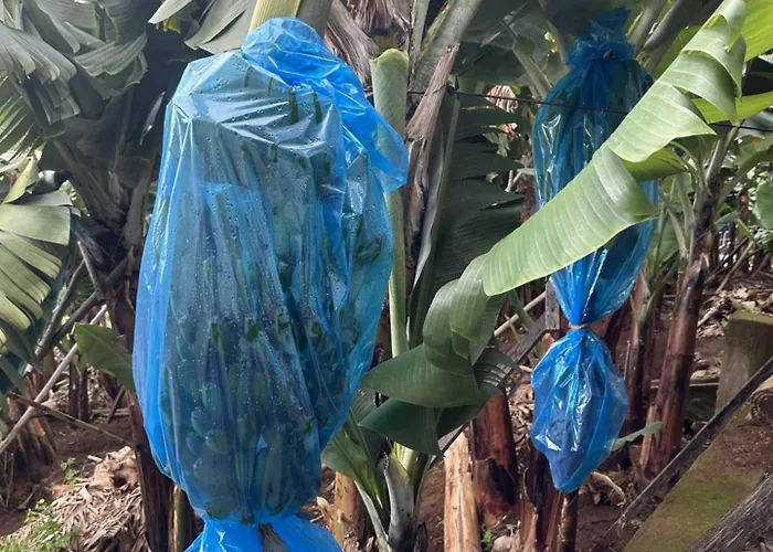 Casa Mary Bela's Casa de Férias